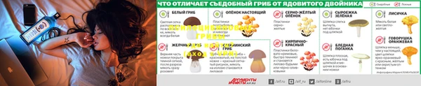 ПСИЛОЦИБИНОВЫЕ ГРИБЫ Абинск