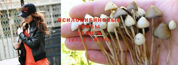 ПСИЛОЦИБИНОВЫЕ ГРИБЫ Абинск